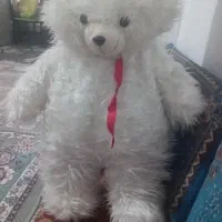 خرس بزرگ صحیح سالم قیمت ۵۰۰ تومان