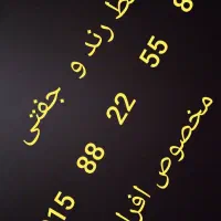 ۰۹۱۵   ۸۸   ۲۲   ۵۵   ۸