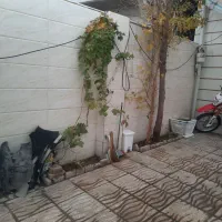 ویلایی|فروش خانه و ویلا|سرپل ذهاب, |دیوار