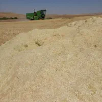 کاه نرم وریزحدود۶نیسان قیمت۲۶۰۰۰۰۰۰