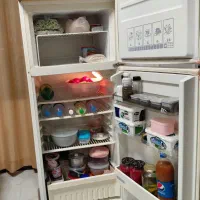 یخچال فیلوار، بسیارتمیز