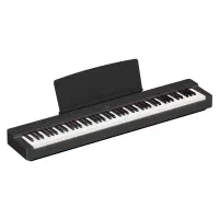 p225 yamaha  piano|پیانو، کیبورد، آکاردئون|گنبد کاووس, |دیوار