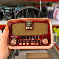 رادیو اسپیکر پنل خورشیدی دار گالون مدل 1112