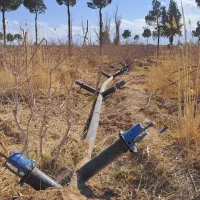 شاگرد لوله کشی پلی اتیلن|استخدام صنعتی، فنی، مهندسی|یزد, |دیوار