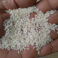 انواع برنج هندی و پاکستانی|عمدهفروشی|شادگان, |دیوار