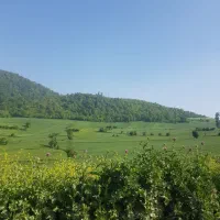 انجام کلیه امور ثبتی در سوادکوه شمالی