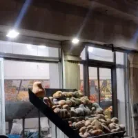 اجاره-مغازه-سه-دهنه