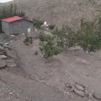 باغ در بازه قلندر ابرده