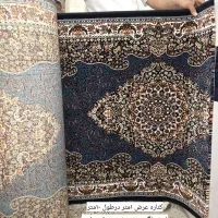 ۳۰۰متر کناره|فرش|دزفول, |دیوار