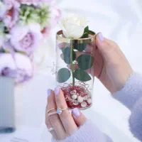 رز جاودان هدیه