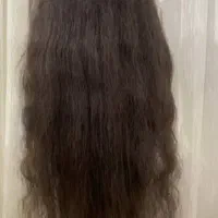 خریدار اصلی موی شما بانوان هستم