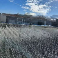 تولید حفاظ و نرده شاخ گوزنی دزدگیر