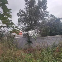 زمین 1800متری مسکونی در روستای آبمال قائمشهر|فروش زمین و ملک کلنگی|قائم‌شهر, |دیوار