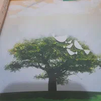 کتاب های سال دوازدهم علوم انسانی دست نخورده و تازه|کتاب و مجله آموزشی|رشت, سلیمانداراب|دیوار