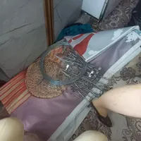 نیمه تنه مدل جنس پلی استر|فروشگاه و مغازه|نجف‌آباد, یزدانشهر|دیوار