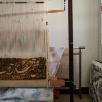 فروش دار قالی با نقشه|ابزارآلات|رشت, چمارسرا|دیوار