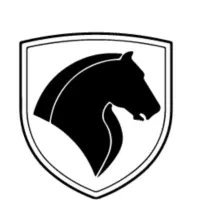 دفتر خدمات حواله تارا دنا ۲۰۷ سیتروئن چانگان