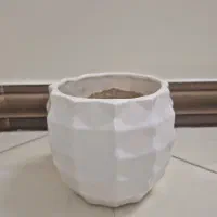 گلدون|گل و گیاه طبیعی|تهران, والفجر (افسریه)|دیوار