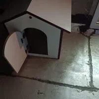 لانه سگ به فروش میرسد