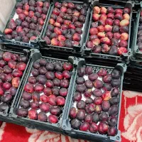 انجیر|خوردنی و آشامیدنی|شوش, |دیوار