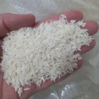 برنج ایرانی کشت
