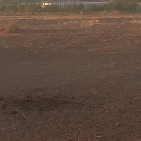 فروش زمین کشاورزی|فروش زمین و ملک کلنگی|کندوان, |دیوار