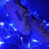 کفش|کیف، کفش، کمربند|بندر کنگان, |دیوار