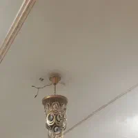 دوعددلوستر سالم