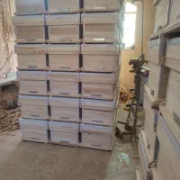 کندو زنبور|لوازم جانبی حیوانات|سنندج, |دیوار