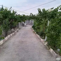 ویلا باغ واقع در روستای امراباد|فروش خانه و ویلا|معصومیه, |دیوار