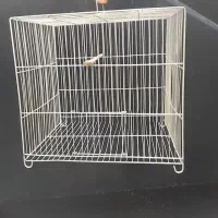 ۳ عددقفس پرنده