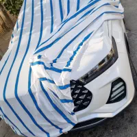 (چادر ماشین) (چادر ماشین) فونیکس و دنا