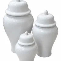 جینجر چینی