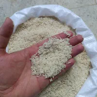 برنج طارم صدری هاشمی درگز