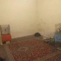 رهن کامل جوادیه 80 متر دوخواب|اجارهٔ آپارتمان|شیراز, جوادیه|دیوار