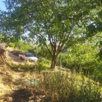 ۱۰۰۰۰متر باغ مثمر سردسیری(مجهز)|فروش دفتر صنعتی، کشاورزی، تجاری|پادنا, |دیوار