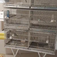 قفس شش خان پژاوند