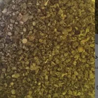 کود کبوتر ارگانیک