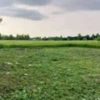 فروش-باغچه
