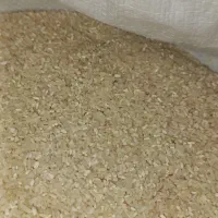 برنج فجر دهنه فندرسک|خوردنی و آشامیدنی|خان ببین, |دیوار