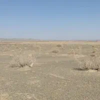 زمین چمگ چهارا سمت راست|فروش زمین و ملک کلنگی|زاهدان, |دیوار