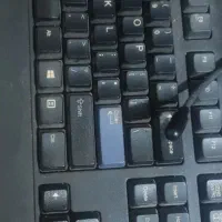 خدمات تایپ و ترجمه