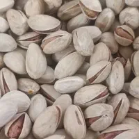 پسته کله قوچی