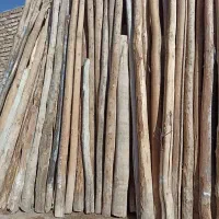 خرید چوب با بالاترین قیمت|خدمات باغبانی و درختکاری|قیدار, |دیوار