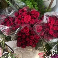 ۲۰شاخه رز هلندی فقط ۸۰۰