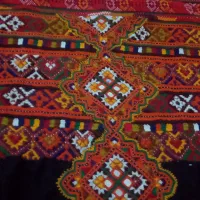 زیاستین 6گل