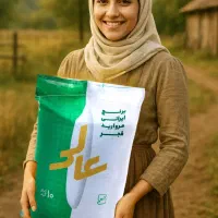 برنج ایرانی مروارید فجر( جزئی و کلی)