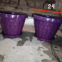 گلدان سرامیکی و پلاستیکی|گل و گیاه طبیعی|قم, زند آباد|دیوار