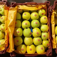 ۵۱ جعبه سیب سفید با فیلم|خوردنی و آشامیدنی|شاهین دژ, |دیوار