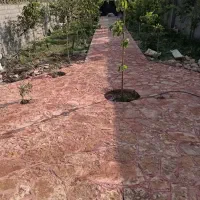 سیمان کاری .سنگ تاوه .موزائیک. جدول|خدمات پیشه و مهارت|گلبهار, نوبهار|دیوار